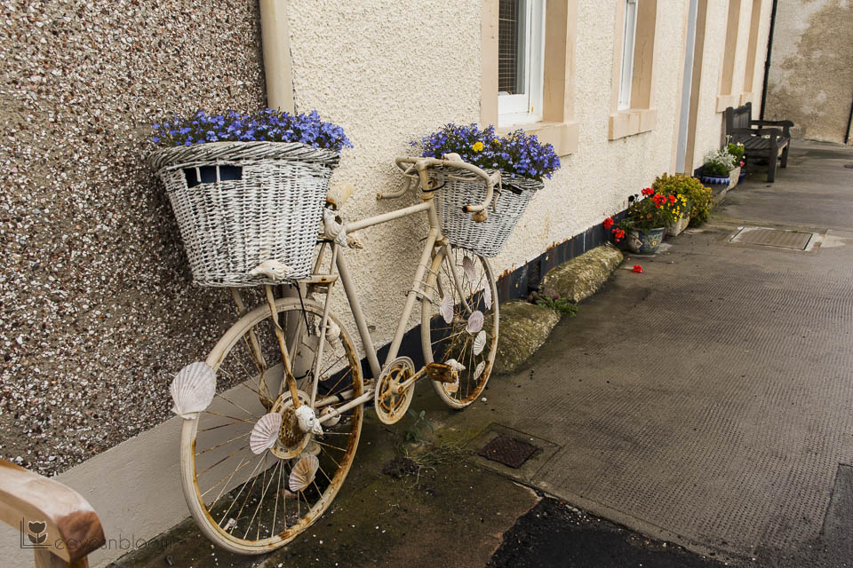 curb appeal bicycle with flowers