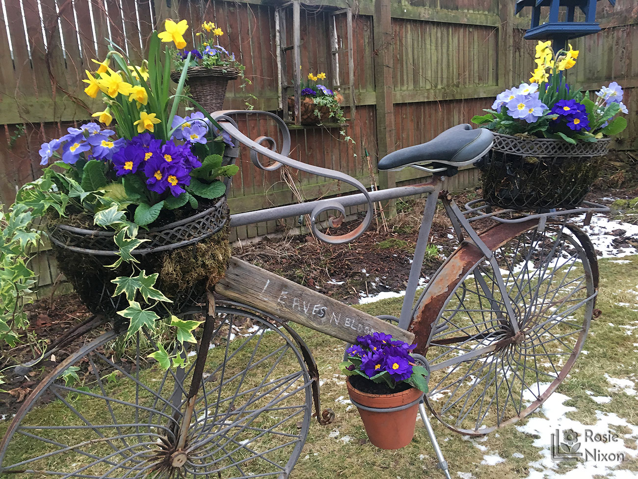 leavesnbloom bicycle planted up for Beechgrove Garden