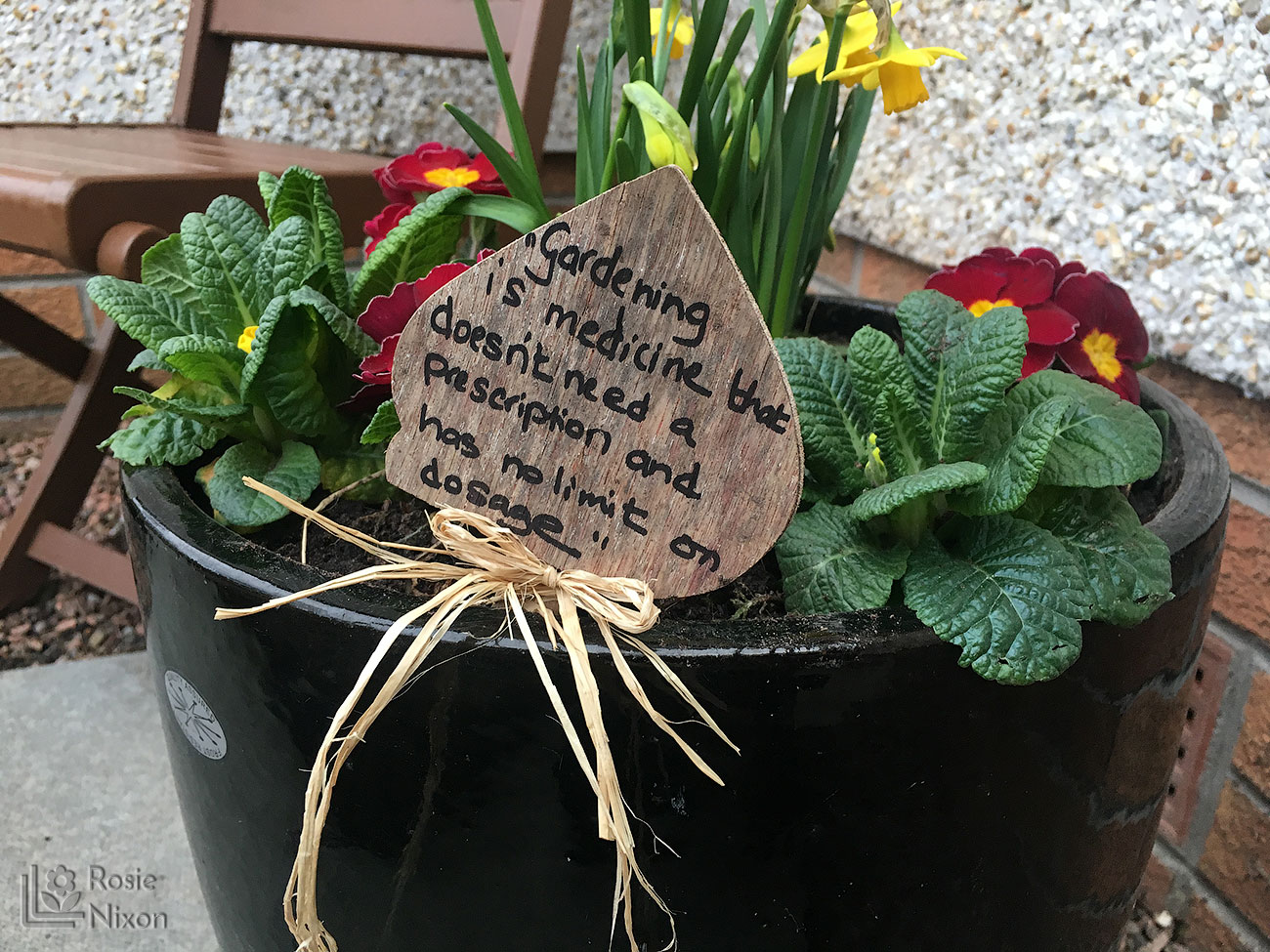 Planted container quote for Beechgrove garden