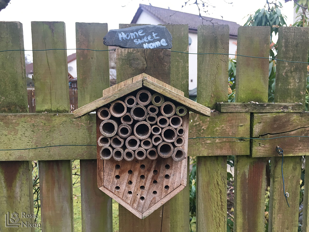 home sweet home solitary bee hotel for Beechgrove Garden